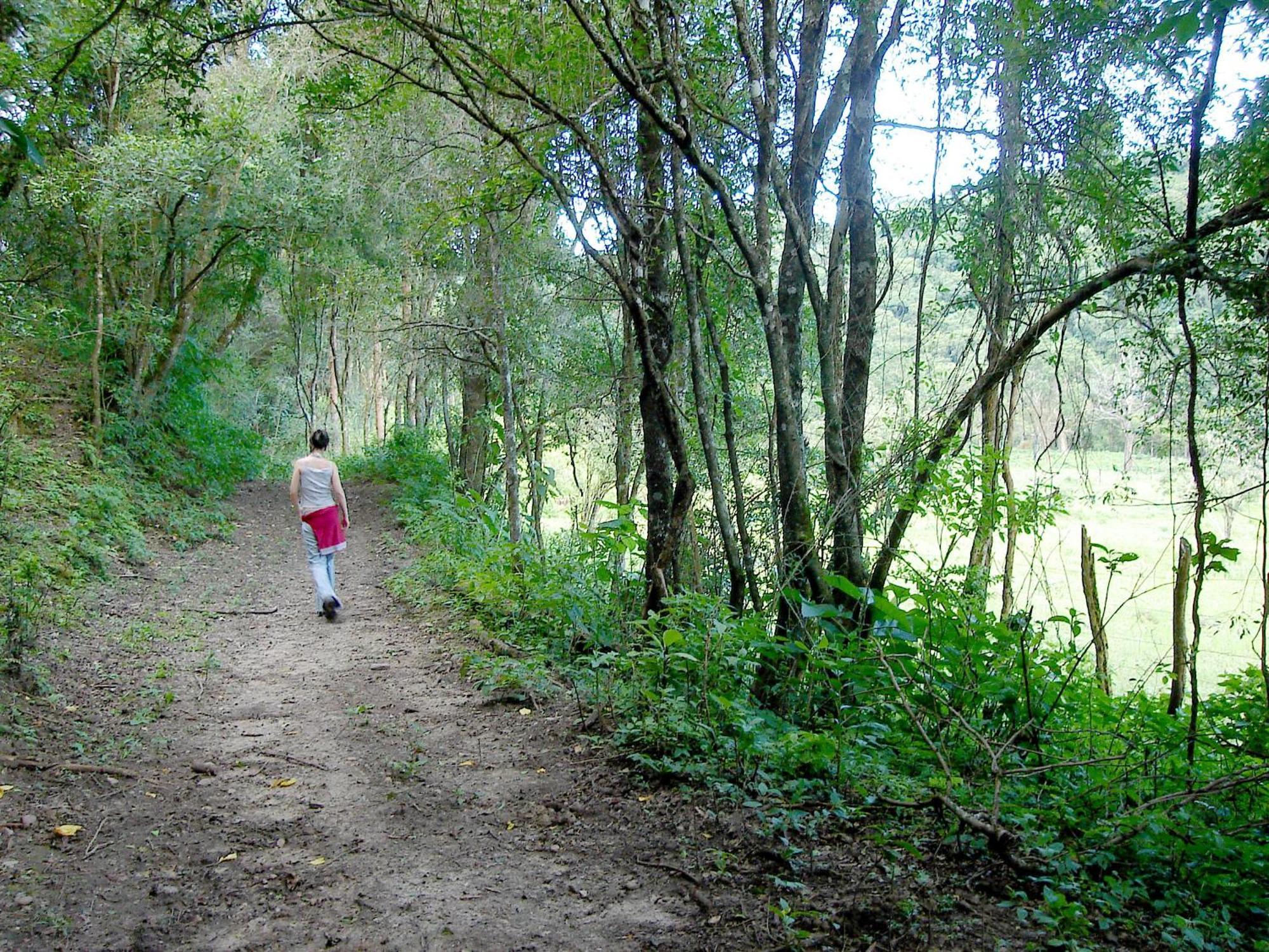 Finca La Colorada Сан-Сальвадор-де-Жужуй Экстерьер фото
